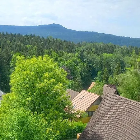 Vorauf Typ C Laerchenstrasse 17c Apartmán Siegsdorf